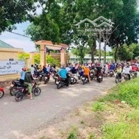 Lô Đất Mt835 Ngay Ngã Tư Xoài Đôi, Liền Kề Thcs Long Trạch , Cần Đước, Chỉ 440 Triệu ,Shr, Xây Dựng Đủ.