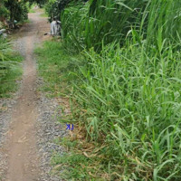 Bán Đất Lúa: 24.000M² (54M X 436M) Đường Đá Xe Ba Gác, Xã Bình Hàng Trung, H Cao Lãnh.