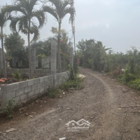 Bán Đất Tại Xã Xuân Thọ, Xuân Lộc, Đồng Nai, 850 Triệu, 1699 M2, Uy Tín Giá Tốt
