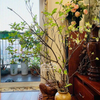 Chính Chủ!Bán Căn Hộ Chung Cư Golden Palace-Mễ Trì- Diện Tích: 128M2-3Ngủ-2Wc-Full Nội Thất