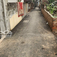 Chính Chủ Bán Lô Đất Thổ Cư Vuông Vắn 50M2 Xã Mai Lâm Cách Vin Cổ Loa 1Km