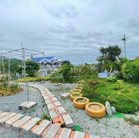 Bán Nhanh Farm Xinh Nghỉ Dưỡng Tại Xã Khánh Hiệp Huyện Khánh Vĩnh Tỉnh Khánh Hoà