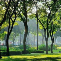 Căn Hộ Diamond Brilliant Giá Trực Tiếp Từ Chủ Đầu Tư Liên Hệ: 0919.147.215 Xuân Chân