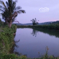 11Ha Cà Phê, Xen Tiêu Thu Nhập Cao Cách Ql14 Chỉ 15Km
Vị Trí: Xã Đắk Rtih, Tuy Đức, Đăk Nông