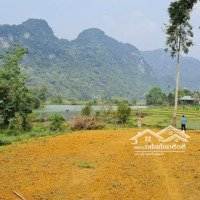 1400M2 Có 200M2 Thổ Cư, View Hồ Hoa Súng Đẹp Tại Phú Vinh Tân Lạc Hòa Bình, Ô Tô Vào Tận Đất