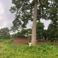 1400M2 Có 200M2 Thổ Cư, View Hồ Hoa Súng Đẹp Tại Phú Vinh Tân Lạc Hòa Bình, Ô Tô Vào Tận Đất