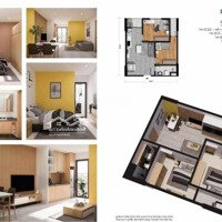 Mở Bán Dự Án Evergreen Tràng Duệ Giá Rẻ Tại Hải Phòng
