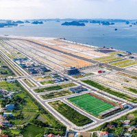 Giỏ Hàng Chuyển Nhượng Tại Phương Đông - Vân Đồn