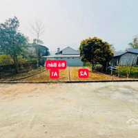 Bán Lô Đất Đầu Tư 104M2, Mặt Tiền 5M Nhân Lý, Tam Quan, Tam Đảo Giá Rẻ Lh_0987673102