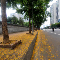 Hiếm! Khu Ngoại Giao Đoàn, Ô Tô Tránh, Thang Máy, Kinh Doanh, Quy Hoạch Sáng, Quận Bắc Từ Liêm