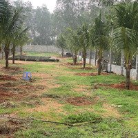 Chính Chủ Cần Bán 1150M2 Đất Tặng Nhà, Mặt Tiền Đường. Trần Bình Trọng. Thiện Nghiệp, Tp Phan Thiết