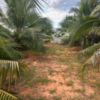 Chính Chủ Cần Bán 1150M2 Đất Tặng Nhà, Mặt Tiền Đường. Trần Bình Trọng. Thiện Nghiệp, Tp Phan Thiết