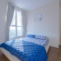 Cho Thuê Căn Hộ Chung Cư Screc Tower Quận 3, 100M2, 3 Phòng Ngủ Giá: 16 Triệu