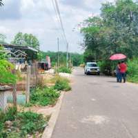 Đất Đẹp Đối Diện Trường Học Mặt Tiền Đường Nhựa 10M Dân Cư Đông Đúc Tiện Ích Xung Quanh