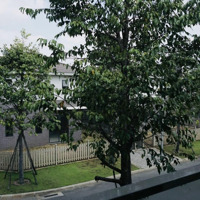 Hvl Bán 4 Căn Valora Kykio Đỗ Xuân Hợp View Sông Cực Đẹp