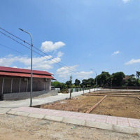 Đất Nền Giá Rẻ Xã Bát Trang An Lão - Chỉ Từ 580 Triệu/Lô - Sổ Đỏ Riêng