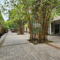 Bán Nhà Liền Kề Đẹp Tại Ecopark, Đường Trúc, 20 Tỷ, 110M2, 4 Phòng Ngủ 3 Vệ Sinh Siêu Hot!