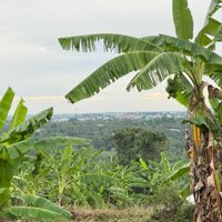 Bán gấp lô đất giá siêu rẻ tại Định Quán