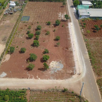 Đất Vàng Gần Sân Bay, Sổ Riêng, Giá Chỉ 850 Triệu!