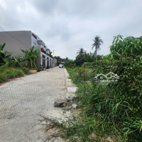 Bán Đất 1.000M2 Full Thổ Cư Gần Ql1 A Tân Quý Tây