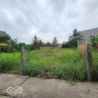 Bán Đất 1.000M2 Full Thổ Cư Gần Ql1 A Tân Quý Tây