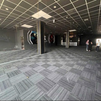Cho Thuê Nhà Mặt Tiền Trung Tâm Tp 600M2 Ngang 14M Siêu Hiếm Giá Chỉ 65 Triệu/ Tháng
