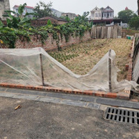 Siêu Phẩm Đất Đẹp 97.5M2 Vài Bước Ra Bìa Làng Đình Trung, Xuân Nộn Đường Trải Nhựa.