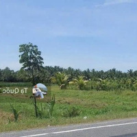 Sang Nhượng Lô Đất Mtđ.trần Văn Mười, X.xuân Thới Đông, H.hóc Môn, Hcm.diện Tích120M2, Chỉ 850 Triệu, Shr.