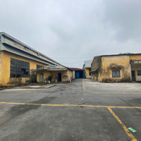 Chính Chủ Cho Thuê Kho, Xưởng Tại Liên Ninh - Thanh Trì. Diện Tích 4500M2