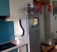 Căn Hộ Chung Cư 56M2 Tại Khu Đô Thị Mới Đại Thanh, Bán 2,4 Tỷ, 2 Phòng Ngủ 2 Vệ Sinh Chính Chủ, Hàng Hiếm