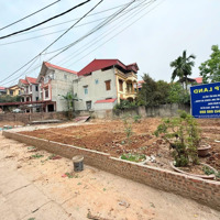 Bán Đất Tại Xã Tam Đồng, Mê Linh, Hà Nội, 291.2 M2/3 Lô