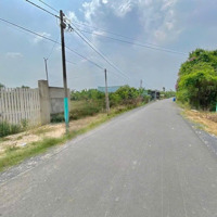 Bán Ngộp Lô Đất Đẹp 200M2 Tại Khu Phố Gia Huỳnh, Trảng Bàng, Tây Ninh - Giá Bán 640 Triệu
