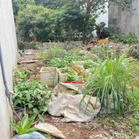 Đất Hải Bối, Đông Anh, Hà Nội. 47M2