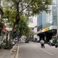 (Hiếm) Bán Nhà Kinh Doanh Mặt Phố Bùi Thị Xuân - Hai Bà Trưng, 317M2, Mặt Tiền Siêu Rộng 16M