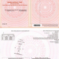Mua Đất 150M Có Nhà Khu Chợ Đêm Ẩm Thực Bàu Bàng