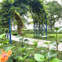 Biệt Thự Xẻ Khe 105M2, Mặt Tiền 7M. Giá Bán 12 Tỷ, Hướng Đông Nam, Ban Công Rộng. Hỗ Trợ Ls 0% 30 Tháng