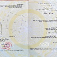 Hàng Ngộp Giá Quá Rẻ Cần Bán Gấp Lắm Rồi 1 Triệu/M2 Xã Tân Nhựt