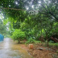 Cần Bán Lô Đất F0 Tại Đông Xuân Quốc Oai Hà Nội Giá Đầu Tư Nhất Thị Trường Hiện Nay Giá Sinh Viên