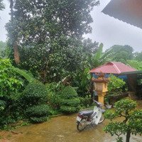 Cần Bán Lô Đất F0 Tại Đông Xuân Quốc Oai Hà Nội Giá Đầu Tư Nhất Thị Trường Hiện Nay Giá Sinh Viên