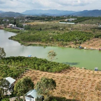 Chỉ 1,8 Tỷ/500M2 Đất Thổ Cư Với 16M Mặt Tiền - View Siêu Đẹp Trung Tâm Tp Bảo Lộc