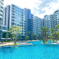 Cho Thuê Căn Căn Hộ Khu Diamond Centery Celadon City Nhà Mới, Vào Ở Ngay