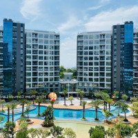 Thanh Toán 2Tỷ Nhận Nhà Ở/Cho Thuê - Căn Hộ Celadon City Cđt Gamuda Land - Ân Hạn Gốc Lãi, Ck 15%
