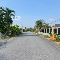 Chính Chủ Bán Ngộp Đất Ngay Dh507, Diện Tích 362M2 Thổ Cư, Giá Bán 350 Triệu Chốt, Sổ Riêng