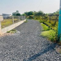 Cg Lô Đất 1,3 Tỷ, 130M2 Tại Ba Sa, Phước Hiệp, Củ Chi