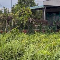 CHÍNH CHỦ CẦN BÁN GẤP LÔ ĐẤT NGAY XÃ THẠNH LỢI, BẾN LỨC, LONG AN