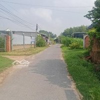 Hàng Hiếmdiện Tíchlớn Đất Gia Lộc 2Mt Đường Nhựa - Đất Nở Hậu - Sổ Hồng Riêng - Duy Nhất 1 Lô Giá Ngộp