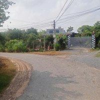 Hàng Hiếmdiện Tíchlớn Đất Gia Lộc 2Mt Đường Nhựa - Đất Nở Hậu - Sổ Hồng Riêng - Duy Nhất 1 Lô Giá Ngộp