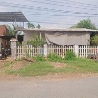 Hàng Hiếmdiện Tíchlớn Đất Gia Lộc 2Mt Đường Nhựa - Đất Nở Hậu - Sổ Hồng Riêng - Duy Nhất 1 Lô Giá Ngộp