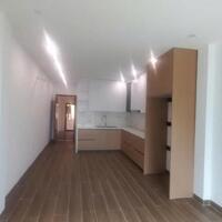 Nhà đẹp Ô Tô 7 chỗ đỗ cổng, Thang máy. Xuân Đỉnh hàng xóm Kosmo, Xuân La,  Tây Hồ - 50m. 14 tỷ