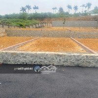 Bán Gấp Trả Lãi Ngân Hàng Đất Trục Chính Đông Xuân-Quốc Oai, Chỉ 3 Di Chuyển Về Đhqg, Cnc Hòa Lạc.